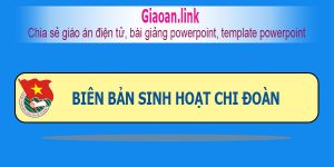 Biên bản sinh hoạt chi đoàn
