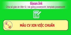 Mẫu cv xin việc