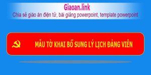 Mẫu tờ khai bổ sung lý lịch đảng viên