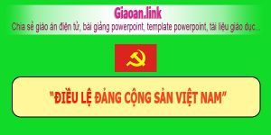 Điều lệ Đảng cộng sản Việt Nam