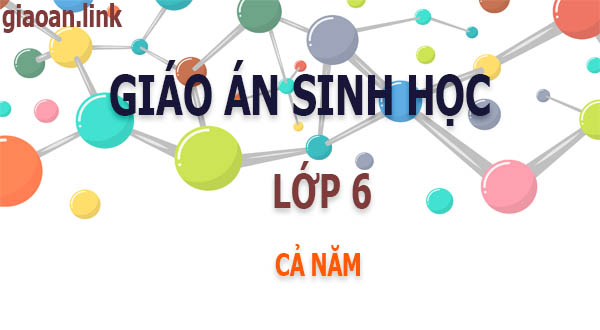 Giáo án sinh học lớp 6 cả năm