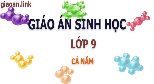 Giáo án sinh học lớp 9 cả năm