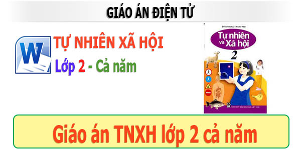 giáo án điện tử tự nhiên xã hội lớp 2 cả năm