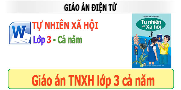 giáo án điện tử tự nhiên xã hội lớp 3 cả năm