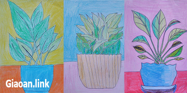 Tranh Vẽ theo mẫu - vẽ lọ hoa » Tài liệu miễn phí cho Giáo viên, học sinh.