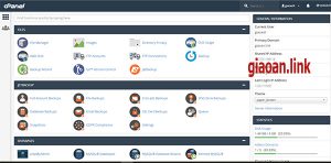 cPanel trên dịch vụ hosting azdigi