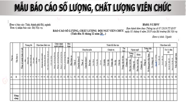 mẫu báo cáo chất lượng viên chức