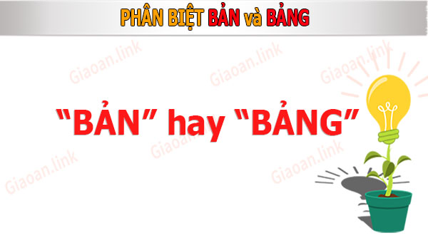 phân biệt bản và bảng