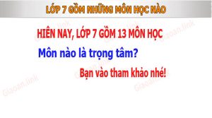 Các môn học trong lớp 7 hiện nay gồm 13 môn học, có 3 môn trọng tâm