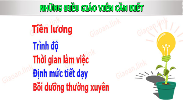 giáo viên tiểu học nên biết