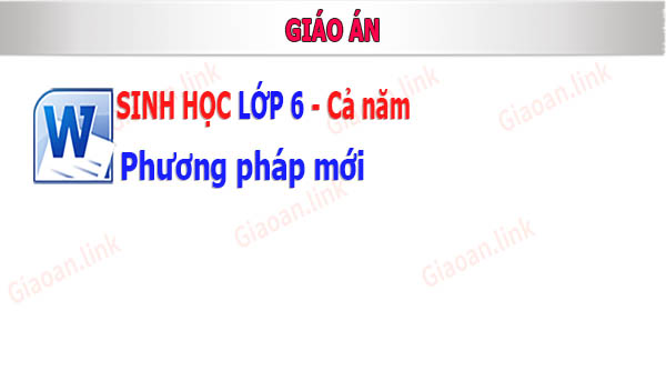 giao an sinh hoc lop 6 phuong phap moi