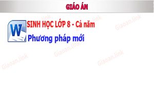 giáo án sinh học lớp 8 phương pháp mới