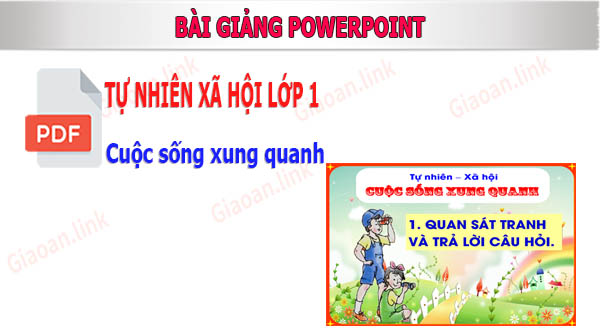 bai giang powerpoint tnxh lop 1 cuoc song xung quanh