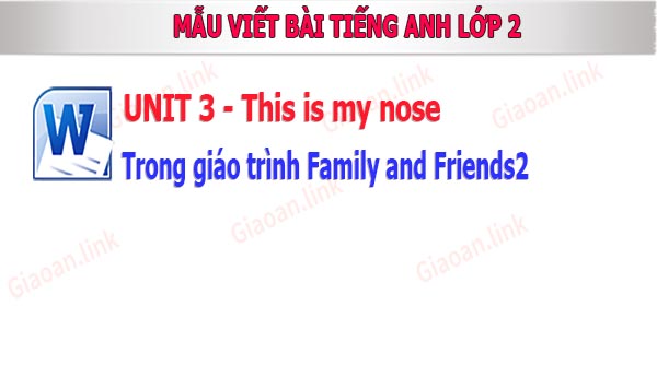 bai tap viet unit 3 this is my nose family ands friends2