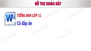 de thi khao sat tieng anh 11 co dap an