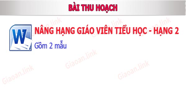 Bài thu hoạch nâng hạng giáo viên tiểu học hạng 2