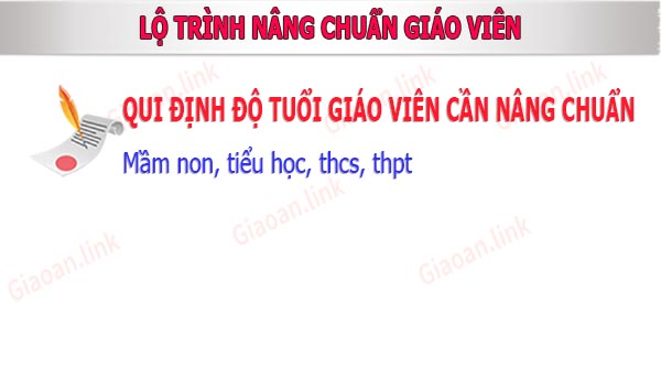 tra cuu đo tuoi giao vien nang chuan