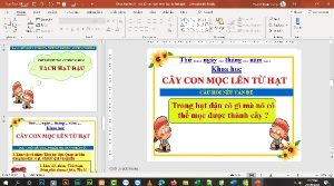 ppt khoa hoc lop 5 bài 53 Cây con lên từ hạt