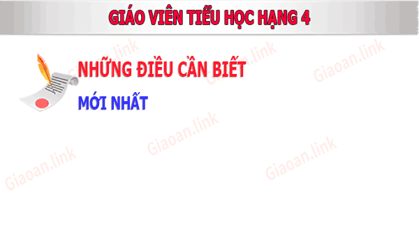 Nhung dieu can biet ve giao vien tieu hc hang 4