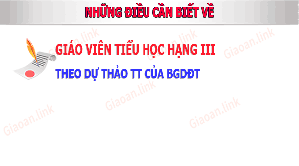 giao vien tieu hoc hang 3