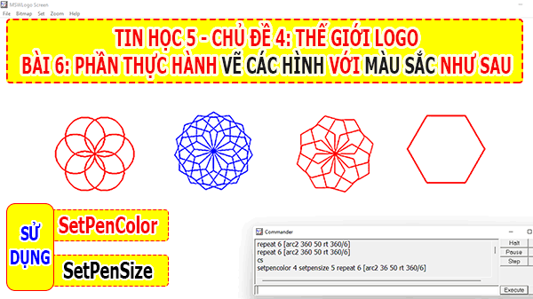 TIN HỌC LỚP 5 LOGO RÙA Bài 6 Thay đổi màu sắc - nét vẽ Phần thực ...