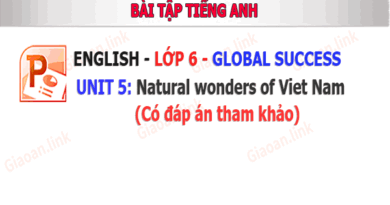 Bài tập tiếng anh 6 Golbal success Unit 5 Natural wonders of Viet Nam